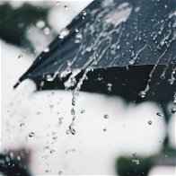 Rain weather umbrella
