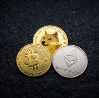 The Influence of Elon Musk on Meme Coins: From Dogecoin and Shiba Inu to the potential of Dogetti