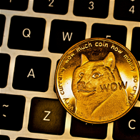 DigiToads (TOADS) already secured over $4.6M in Presale: What does it mean for Dogecoin (DOGE) and Shiba Inu (SHIB)?