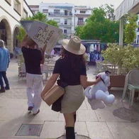 Responsible pet ownership campaign in Javea