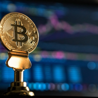 Bitcoin falls by 0.50 per cent.