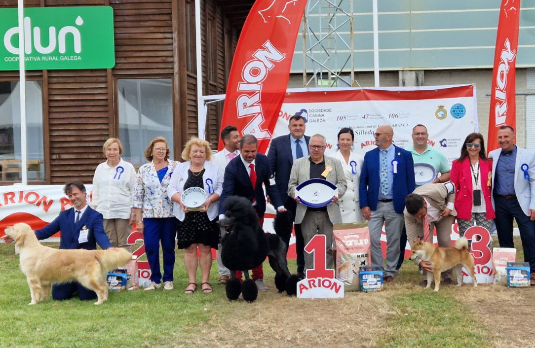 El perro más bonito de España vive en Málaga « Euro Weekly News