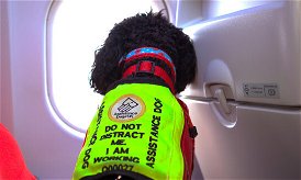 Service dog travelling on BA airplane