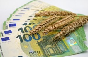 Stack of 100 euro notes with heads of wheat on top