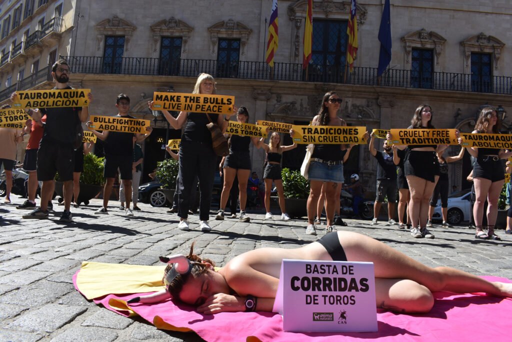 A protester against bullfighting