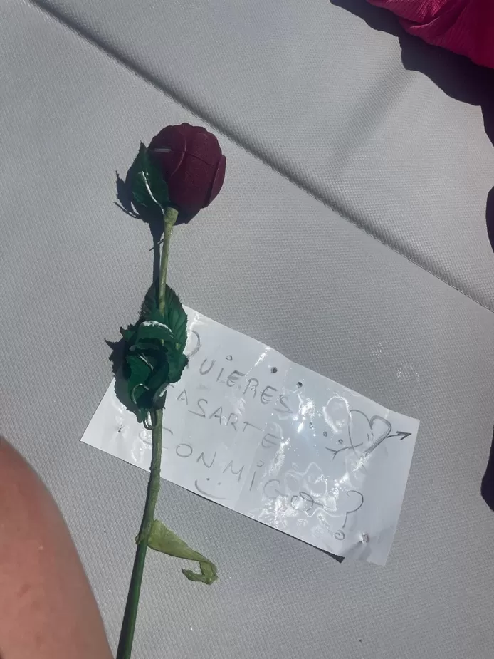 Tourist Finds Rose And Engagement Ring Euro Weekly News