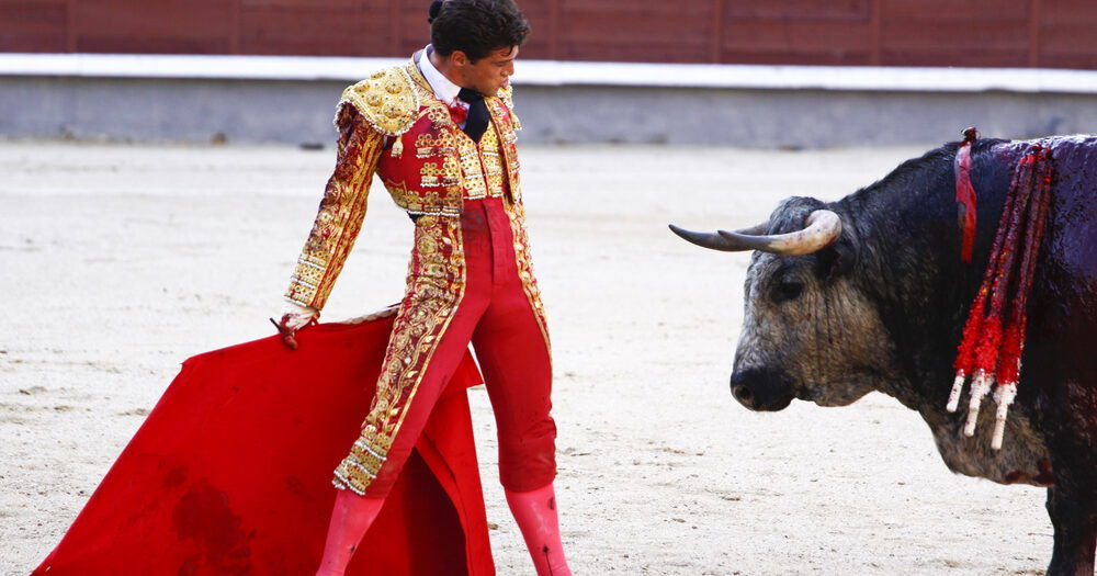 Marbella anti-bullfight protest « Euro Weekly News