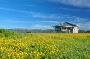 Angular house set in a field of wildflowers