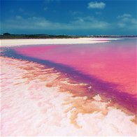 Spain's Pink Lake