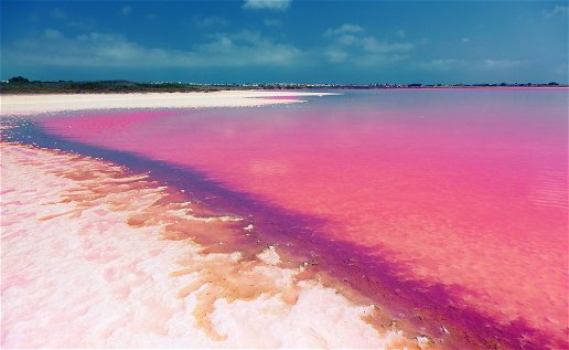 Spain's Pink Lake
