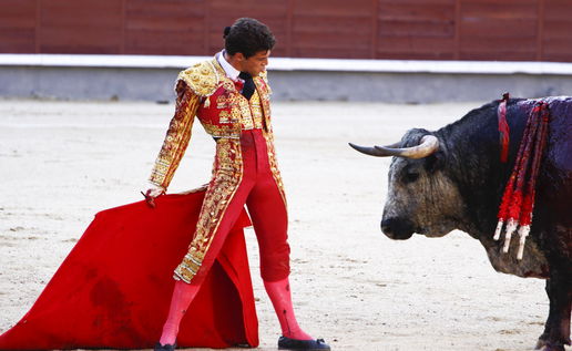 Pro-Bullfight Lobby Wins In Mallorca