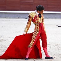 Pro-Bullfight Lobby Wins In Mallorca