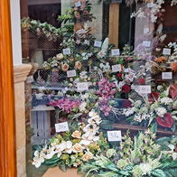 Things ain’t what they used to be: Flowers