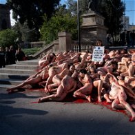 Animal Activists Send Powerful Message In Barcelona