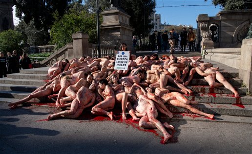 Animal Activists Send Powerful Message In Barcelona