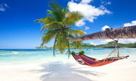 Emergency Declared In 'Paradise' Islands