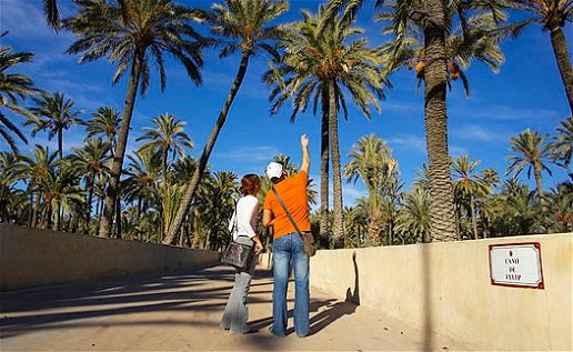 Elche Hotels: Record-breaking occupancy amidst winter's warmth.