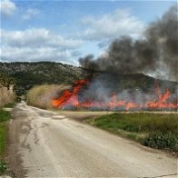 Firefighters called to Albufera de Mallorca
