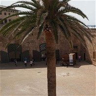 Mallorca's museum setback