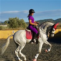 Galloping towards dreams: Breaking barriers in the equestrian world.