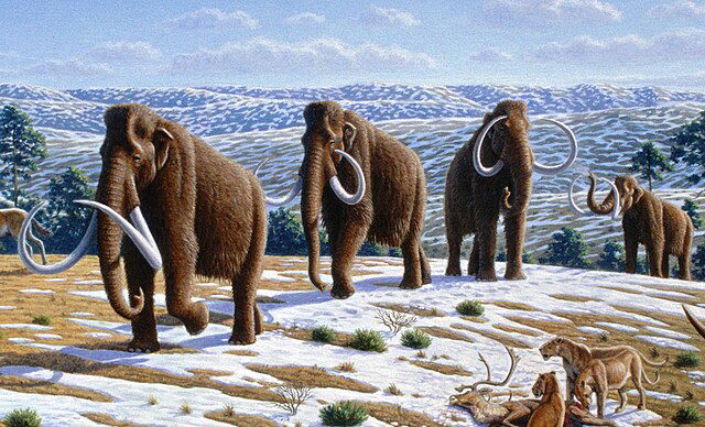 In a story reminiscent of ‘Jurassic Park’, Colossal Biosciences aims to resurrect the woolly mammoth by 2028, using genetic technology. In a ground-breaking announcement…