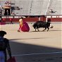 Anti-bullfighting campaign