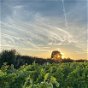 Boost for UK wine industry