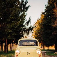 Old Fiat 500 in yellow on a tree lined road