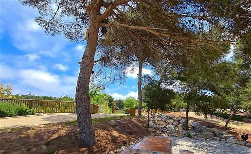 Talking trees: El Recorral Park, Rojales' hidden gem.