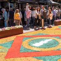 Colourful carpets of Almeria