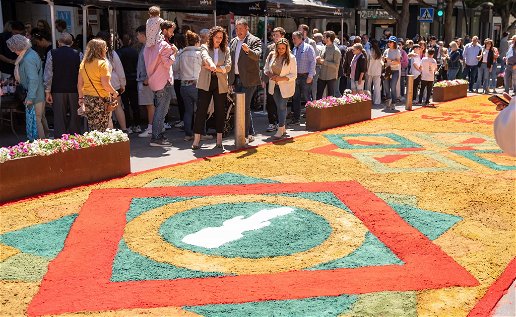 Colourful carpets of Almeria