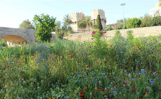 Valencia's vision: Expanding the Turia Garden.