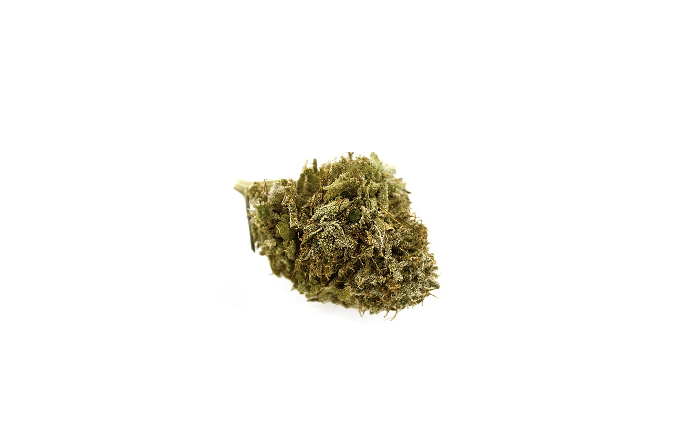 picture of a cannabis bud