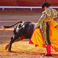 National bullfighting award cancelled