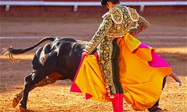 National bullfighting award cancelled