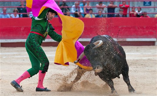 Bullfights make a comeback