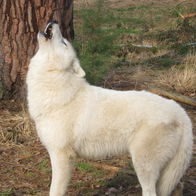 Check on unwanted attention in Utrecht