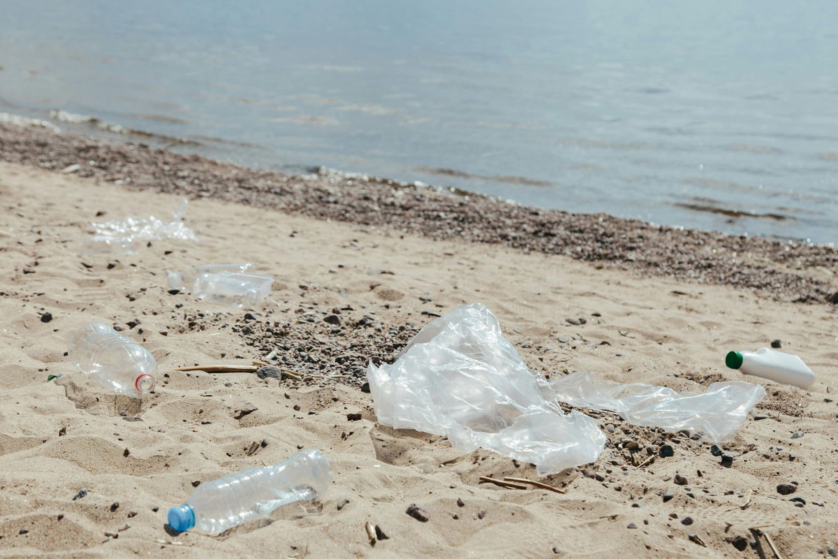 30 Cut in Ocean Waste Around Costa del Sol « Euro Weekly News