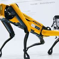 Trump’s robotic guard dogs - Euro Weekly News