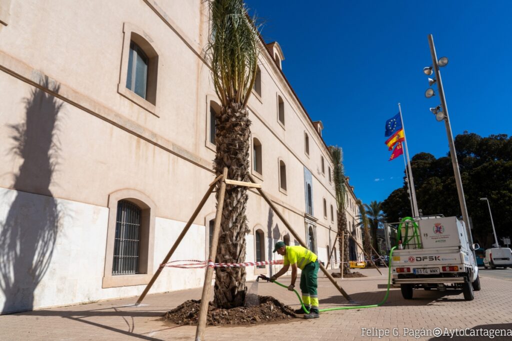 Trabajador local en Cartagena plantando un árbol Euro Semanal Noticias