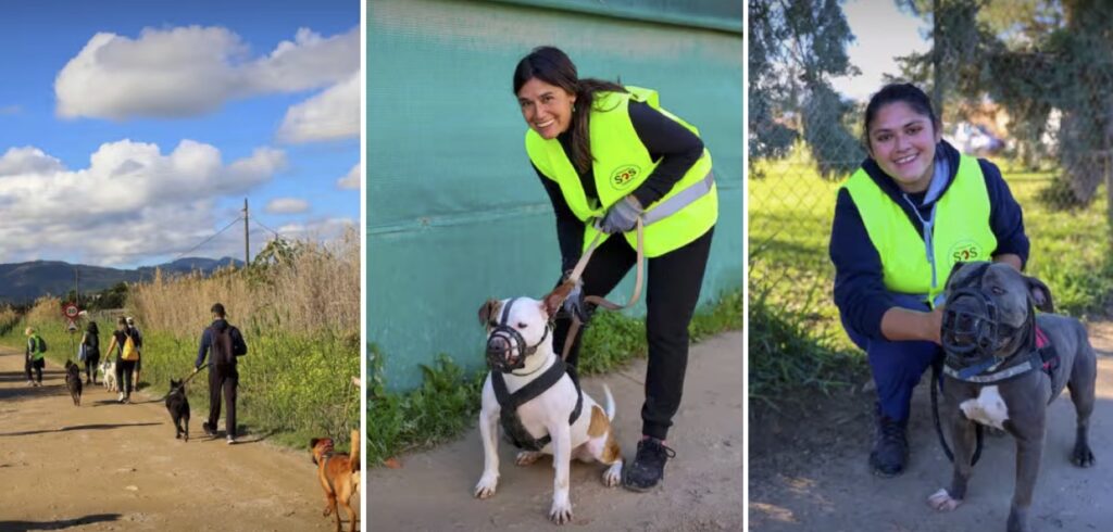 Combiner santé et remise en forme avec la promenade de chiens de sauvetage. Euro Weekly News.
