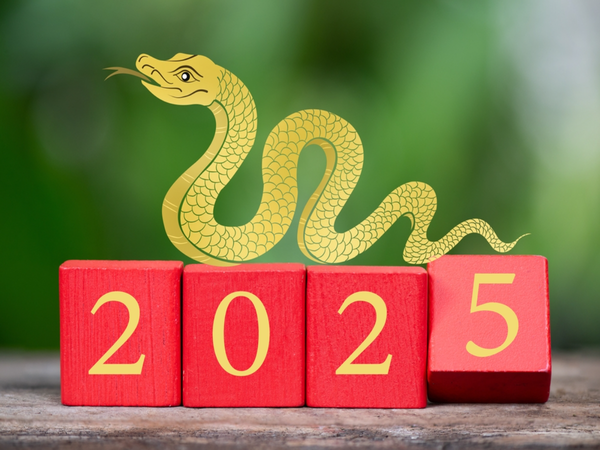 Chinese New Year 2025 Year of the Snake « Euro Weekly News