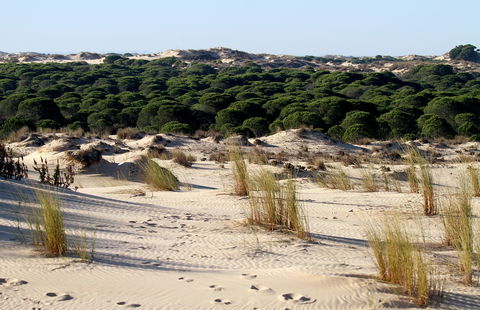 DGT might fine you for camping in your car or van