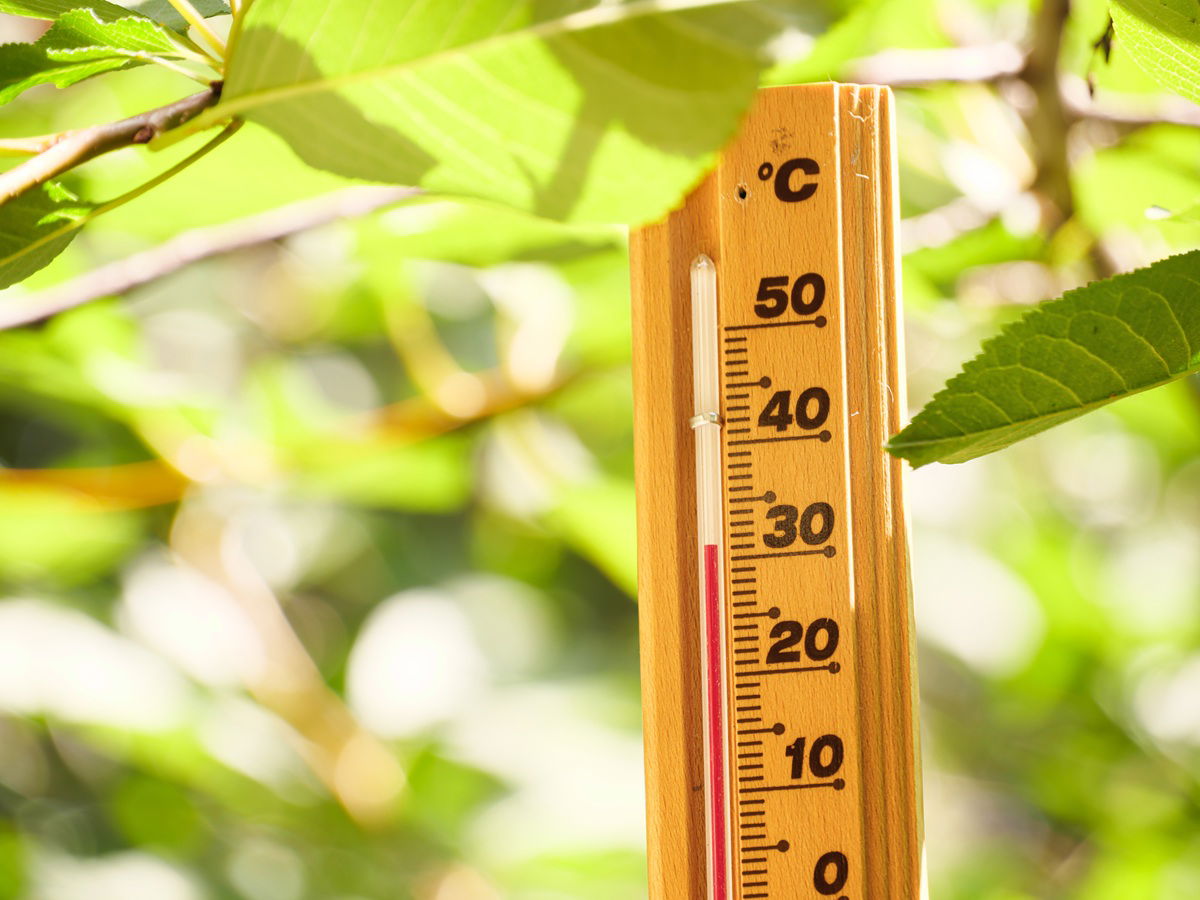 “Don’t go outside!” : Extreme heat triggers chaos at Europe’s favourite destinations