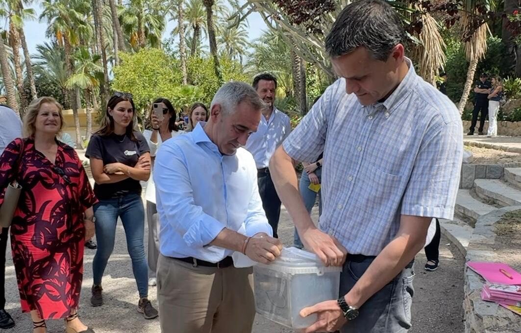 Miguel Barrachina releasing thousands of Tiger mosquitos.