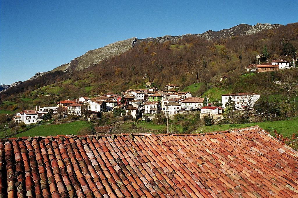 Ponga | Credits: All photos in this article are from Shutterstock
