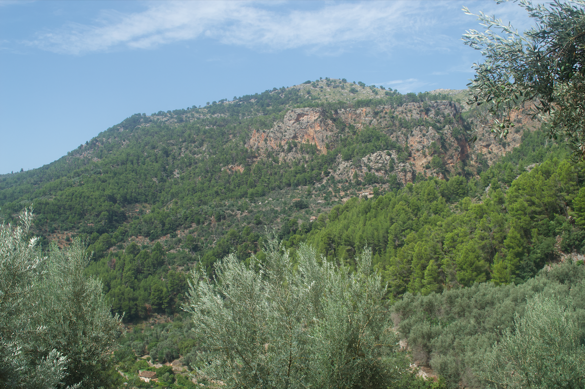 Tramuntana Property Legalisation Now Approved