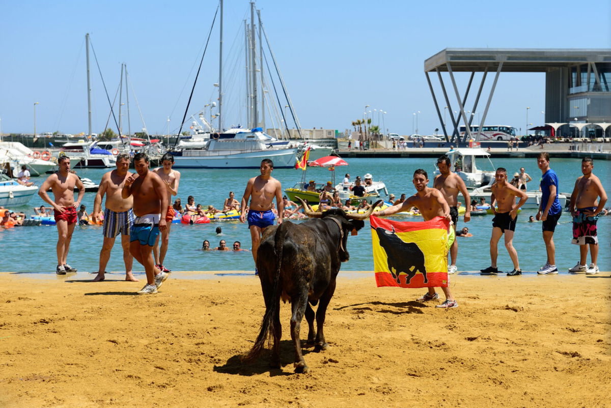 PACMA campaigners plan protest in Denia’s bull festival