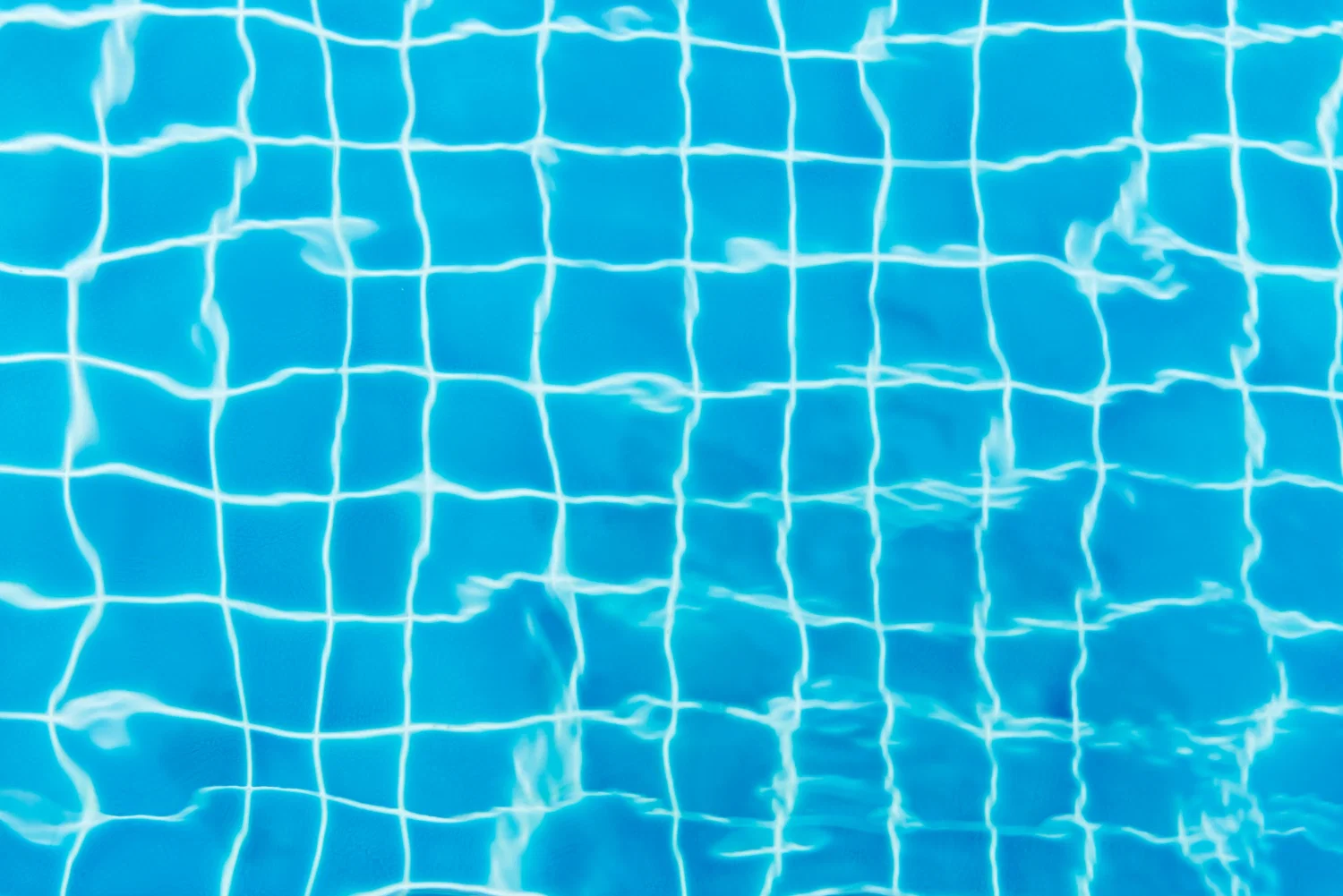 Spider appearing in your pool? Here’s why.