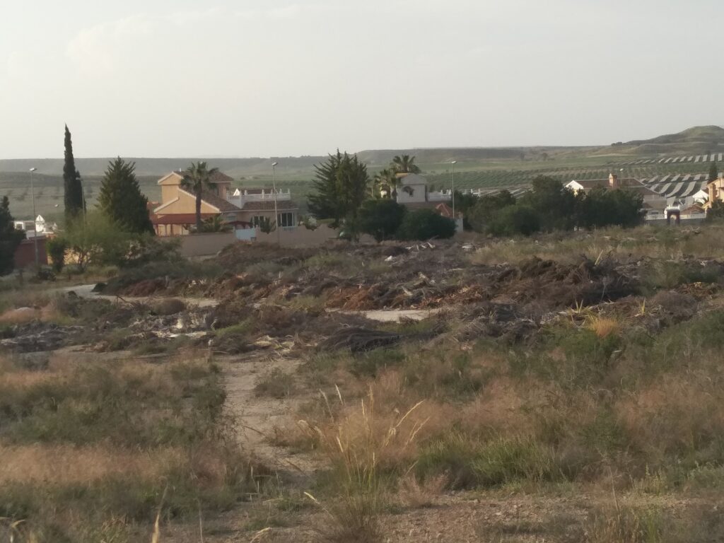 Wildfire successful Camposol Euro Weekly News